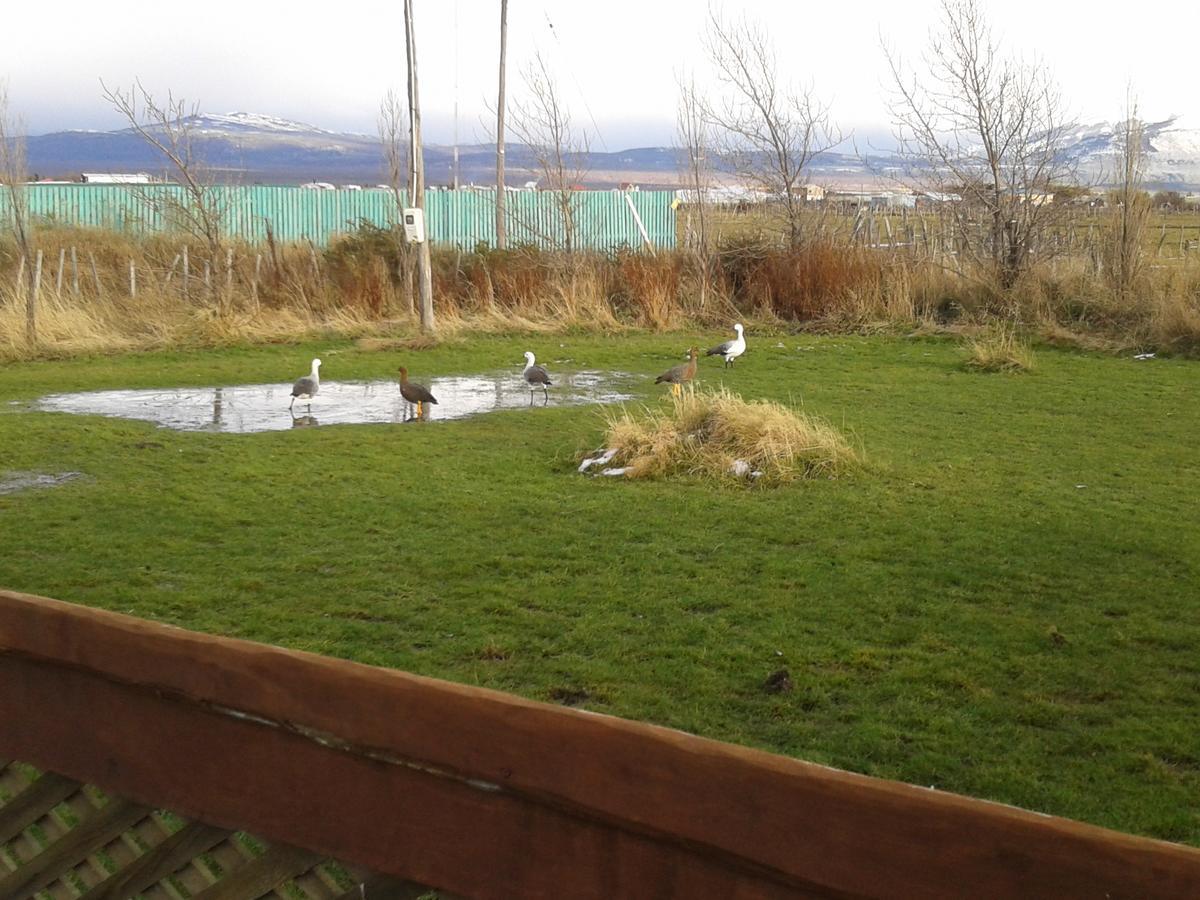Cabanas Y Casa Kauken Puerto Natales Ngoại thất bức ảnh
